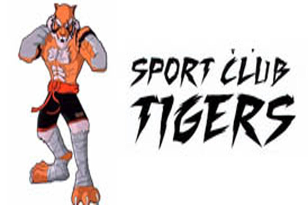 ТИГРЫ 1
