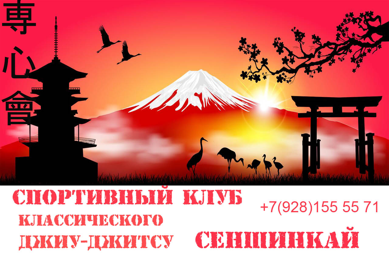 СЕНШИНКАЙ 3